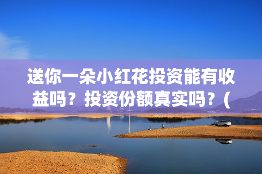 送你一朵小红花投资能有收益吗？投资份额真实吗？(送你一朵小红花歌词)