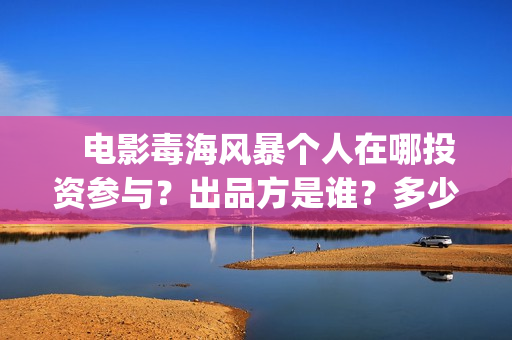    电影毒海风暴个人在哪投资参与？出品方是谁？多少起投？(电影毒海风暴 免费观看)