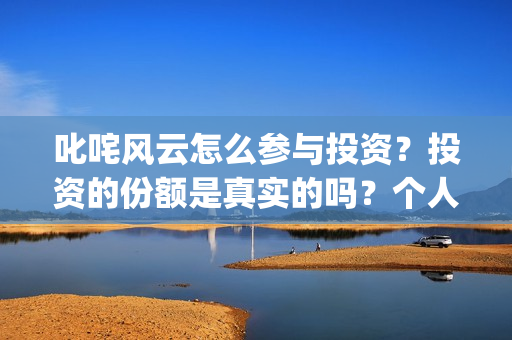 叱咤风云怎么参与投资？投资的份额是真实的吗？个人怎么参与？(叱咤风云解说)