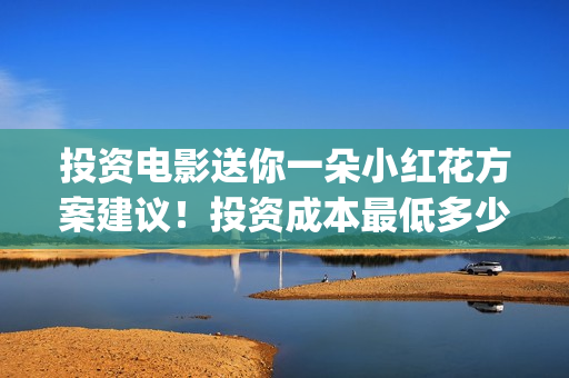 投资电影送你一朵小红花方案建议！投资成本最低多少！投资收益怎么算！(投资的电影)