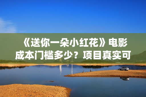  《送你一朵小红花》电影成本门槛多少？项目真实可靠吗？(送你一朵小红花 歌曲)