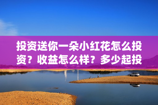 投资送你一朵小红花怎么投资？收益怎么样？多少起投？(送你一朵小红花投资商)