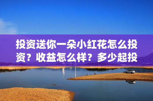 投资送你一朵小红花怎么投资?收益怎么样?多少起投?(投资送你一朵小红花) 投资送你一朵小红花怎么投资?收益怎么样?多少起投?(投资送你一朵小红花)