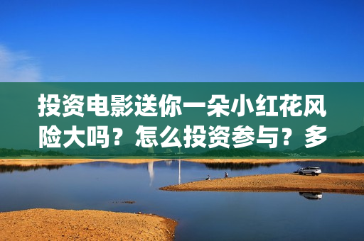 投资电影送你一朵小红花风险大吗？怎么投资参与？多少起投？(给我投资电影)