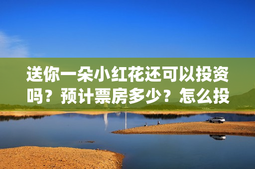 送你一朵小红花还可以投资吗？预计票房多少？怎么投资？(送你一朵小红花电影)