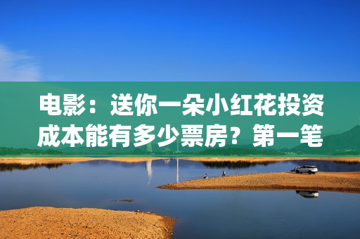 电影：送你一朵小红花投资成本能有多少票房？第一笔分红多久？(电影送你一朵小红花完整版免费观看)