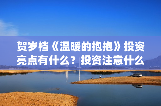 贺岁档《温暖的抱抱》投资亮点有什么？投资注意什么事项？多少钱一份？(贺岁片温暖的抱抱)