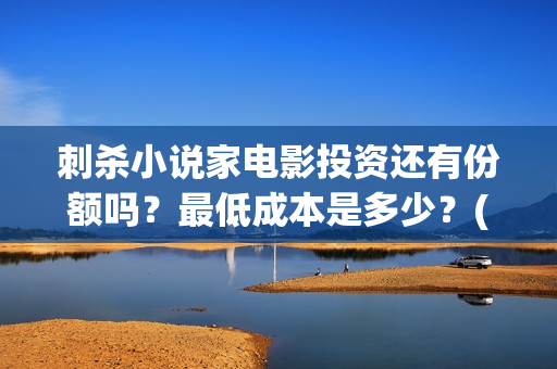 刺杀小说家电影投资还有份额吗？最低成本是多少？(刺杀小说家2电影)