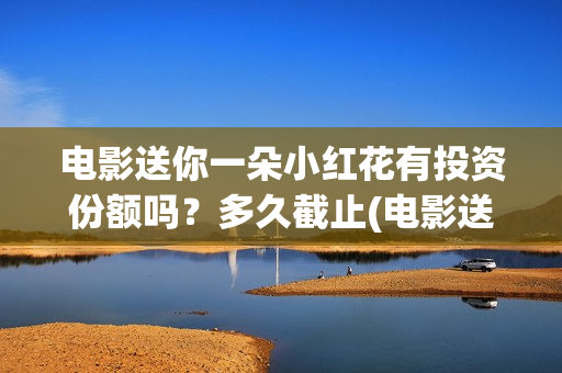 电影送你一朵小红花有投资份额吗？多久截止(电影送你一朵小红花简介)