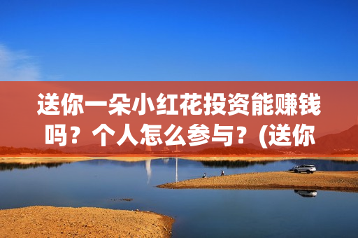 送你一朵小红花投资能赚钱吗？个人怎么参与？(送你一朵小红花简谱)