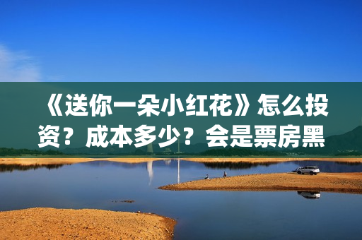 《送你一朵小红花》怎么投资？成本多少？会是票房黑马吗？ (送你一朵小红花电影免费观看)
