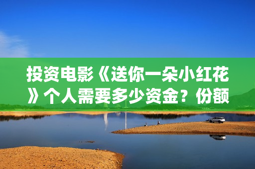 投资电影《送你一朵小红花》个人需要多少资金？份额占比多少？(送你票房一朵小红花演员表)