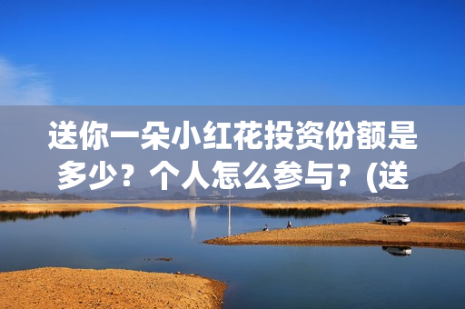 送你一朵小红花投资份额是多少？个人怎么参与？(送你一朵小红花 歌曲)