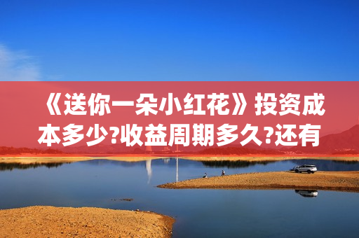 《送你一朵小红花》投资成本多少?收益周期多久?还有份额吗?(送你一朵小红花mp3下载)