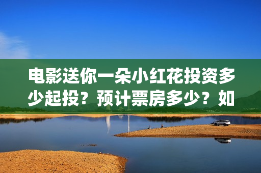 电影送你一朵小红花投资多少起投？预计票房多少？如何参与？(电影送你一朵小红花简介)