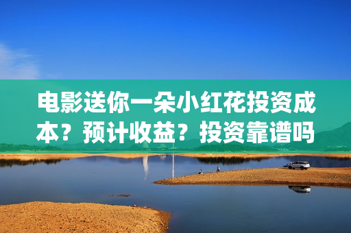 电影送你一朵小红花投资成本？预计收益？投资靠谱吗？(电影送你一朵小红花讲述的主题是抗癌吗)