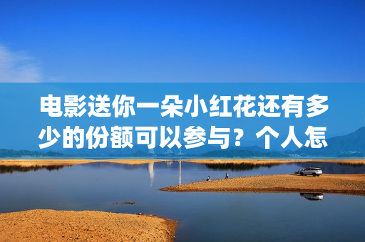 电影送你一朵小红花还有多少的份额可以参与？个人怎么参与？(电影送你一朵小红花的英文)