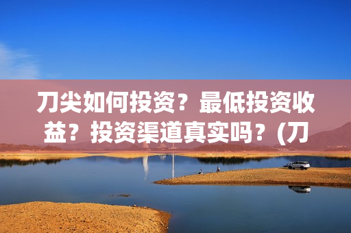 刀尖如何投资？最低投资收益？投资渠道真实吗？(刀尖2021)