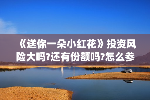 《送你一朵小红花》投资风险大吗?还有份额吗?怎么参与(送你一朵小红花原唱)