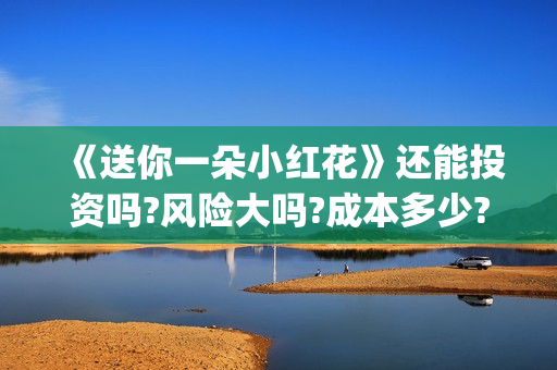 《送你一朵小红花》还能投资吗?风险大吗?成本多少?(送你一朵小红花)
