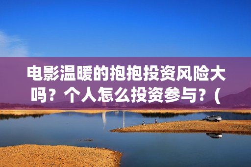 电影温暖的抱抱投资风险大吗？个人怎么投资参与？(电影温暖的抱抱小人)