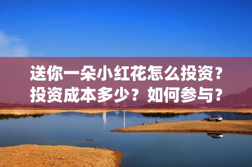 送你一朵小红花怎么投资？投资成本多少？如何参与？(送你一朵小红花电影剧情介绍)