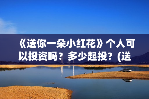 《送你一朵小红花》个人可以投资吗？多少起投？(送你一朵小红花免费观看完整版)