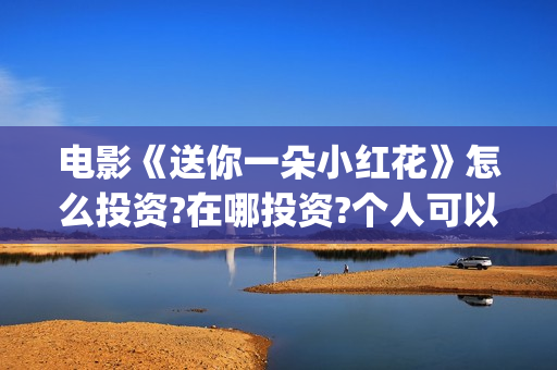 电影《送你一朵小红花》怎么投资?在哪投资?个人可以投资吗(电影《送你一朵小红花》的导演和主演)