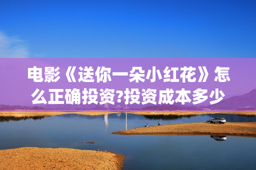 电影《送你一朵小红花》怎么正确投资?投资成本多少?(电影送你一朵小红花演员表)
