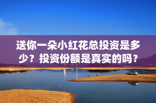 送你一朵小红花总投资是多少？投资份额是真实的吗？(送你一朵小红花歌词表达什么意思)