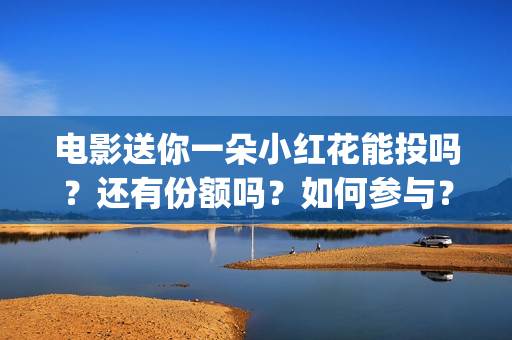 电影送你一朵小红花能投吗？还有份额吗？如何参与？(电影送你一朵小红花演员表)