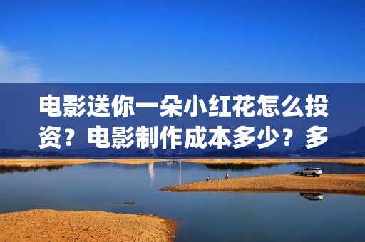 电影送你一朵小红花怎么投资？电影制作成本多少？多少起投？(电影送你一朵小花)