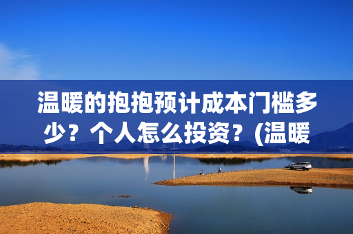 温暖的抱抱预计成本门槛多少？个人怎么投资？(温暖的抱抱上线)