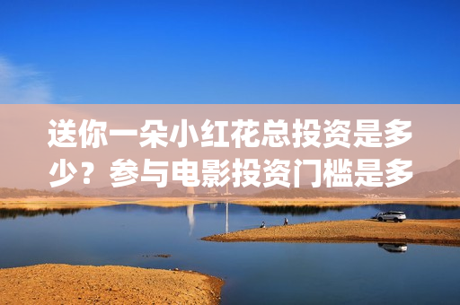 送你一朵小红花总投资是多少？参与电影投资门槛是多少？(送你一朵小红花简谱)
