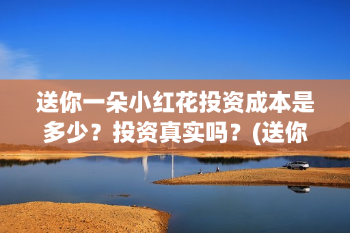 送你一朵小红花投资成本是多少？投资真实吗？(送你一朵小红花电影免费观看)