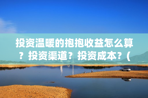 投资温暖的抱抱收益怎么算？投资渠道？投资成本？(温暖的抱抱投资商)