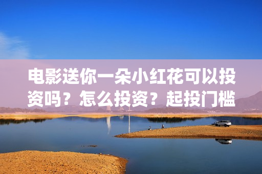 电影送你一朵小红花可以投资吗？怎么投资？起投门槛多少(电影送你一朵小红花完整版免费观看)