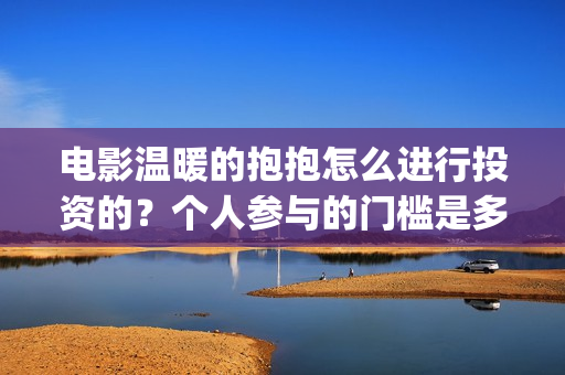 电影温暖的抱抱怎么进行投资的？个人参与的门槛是多少？(电影温暖的抱抱在线观看)
