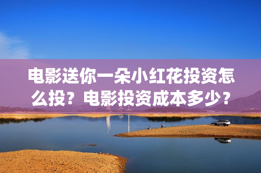 电影送你一朵小红花投资怎么投？电影投资成本多少？(电影送你一朵小红花演员表)