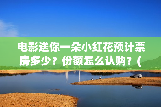 电影送你一朵小红花预计票房多少？份额怎么认购？(电影送你一朵小红花豆瓣评分)