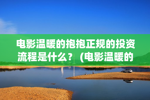 电影温暖的抱抱正规的投资流程是什么？ (电影温暖的抱抱免费观看完整版)