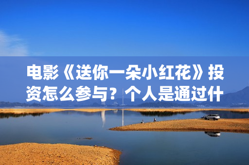 电影《送你一朵小红花》投资怎么参与？个人是通过什么途径投资？(电影送你一朵小红花完整版免费观看)