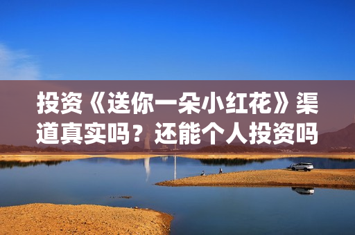 投资《送你一朵小红花》渠道真实吗？还能个人投资吗？(送你一朵花是哪首歌曲)