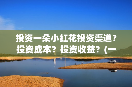 投资一朵小红花投资渠道？投资成本？投资收益？(一朵小红花公司)
