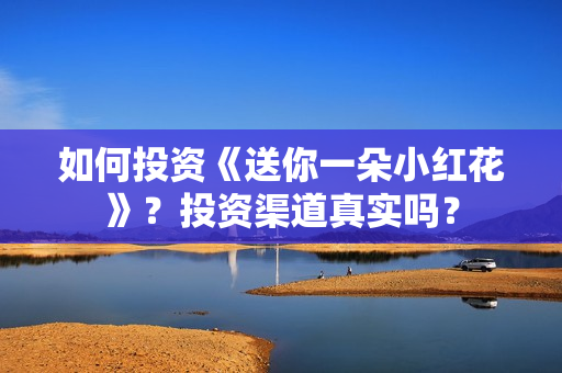 如何投资《送你一朵小红花》？投资渠道真实吗？