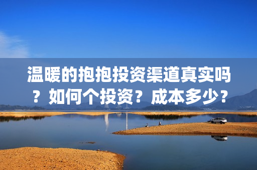 温暖的抱抱投资渠道真实吗？如何个投资？成本多少？(温暖的抱抱投资金额)