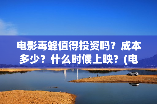 电影毒蜂值得投资吗？成本多少？什么时候上映？(电影毒蜂在拍摄中吗)