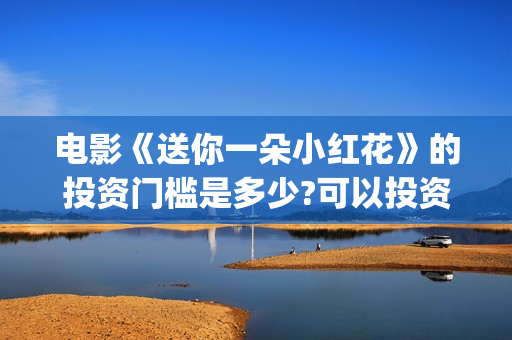 电影《送你一朵小红花》的投资门槛是多少?可以投资吗?(电影《送你一朵花》完整版)