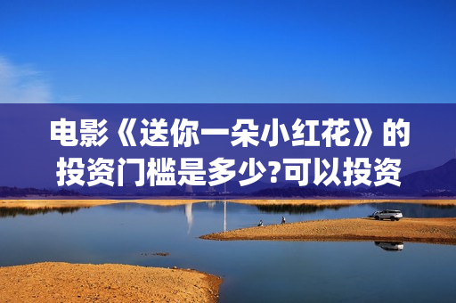 电影《送你一朵小红花》的投资门槛是多少?可以投资吗?(电影送你一朵小红花讲述的主题是抗癌吗)