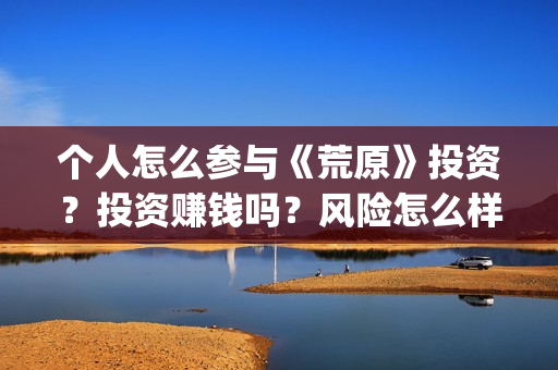 个人怎么参与《荒原》投资？投资赚钱吗？风险怎么样？(个人怎么参与公益活动)